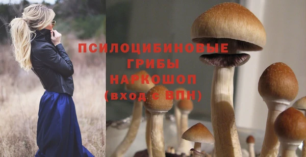 дмт Балахна