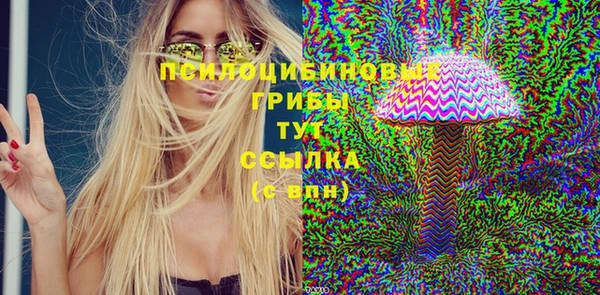 дмт Балахна