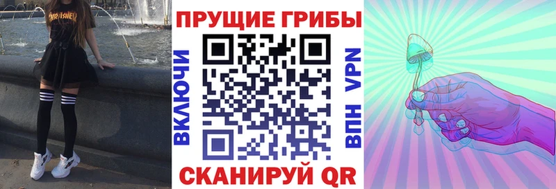 Галлюциногенные грибы Psilocybine cubensis  Купить закладки  Ноябрьск 