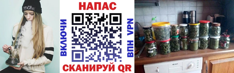 МАРИХУАНА SATIVA & INDICA Ноябрьск