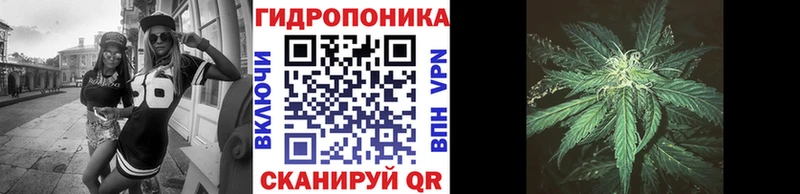 Купить где  Ноябрьск  Марихуана SATIVA & INDICA 